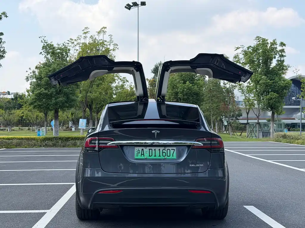 Tesla Model X — миниатюра 5