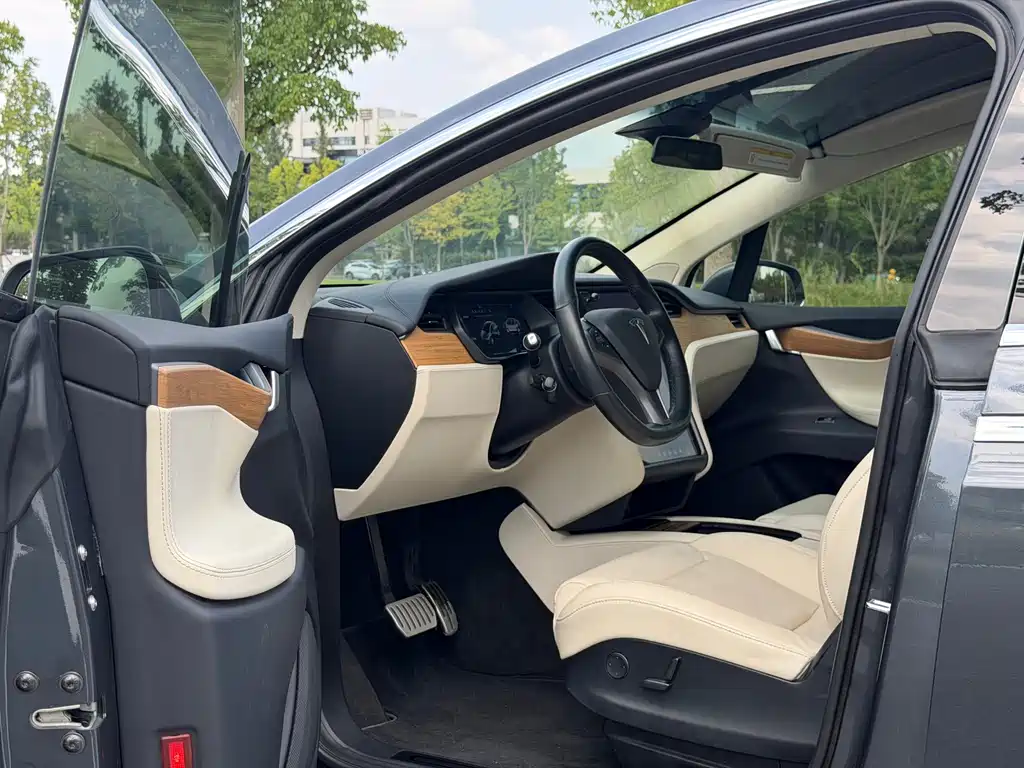 Tesla Model X — миниатюра 7