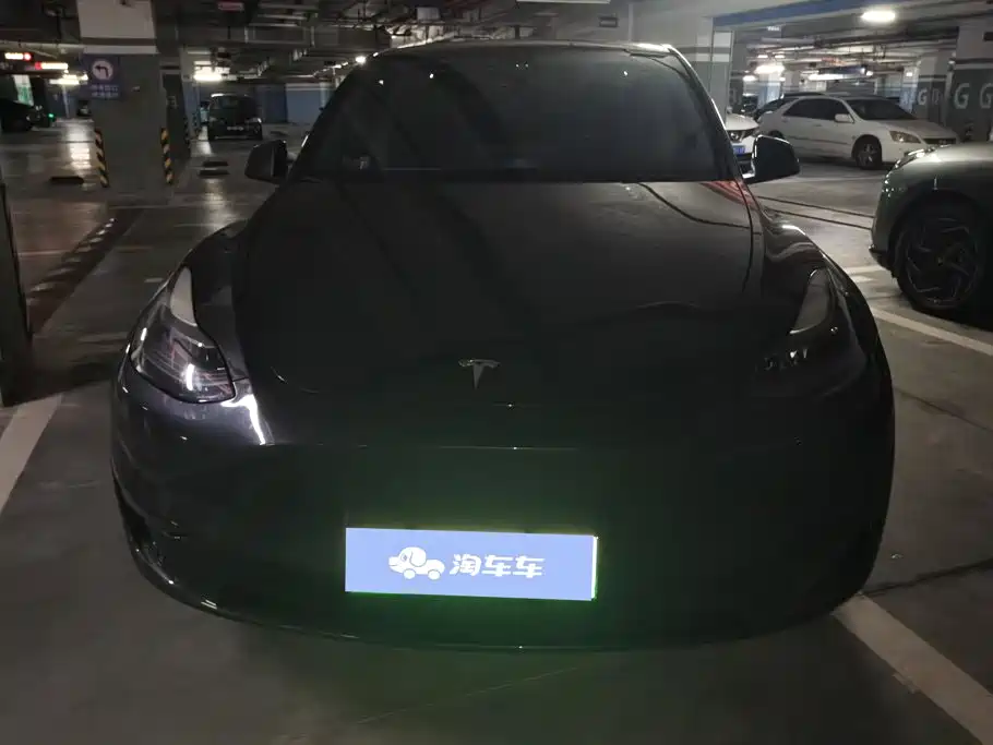 Tesla Model Y — миниатюра 2