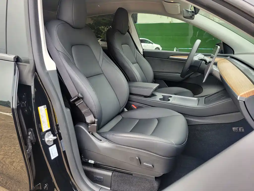 Tesla Model Y — миниатюра 11