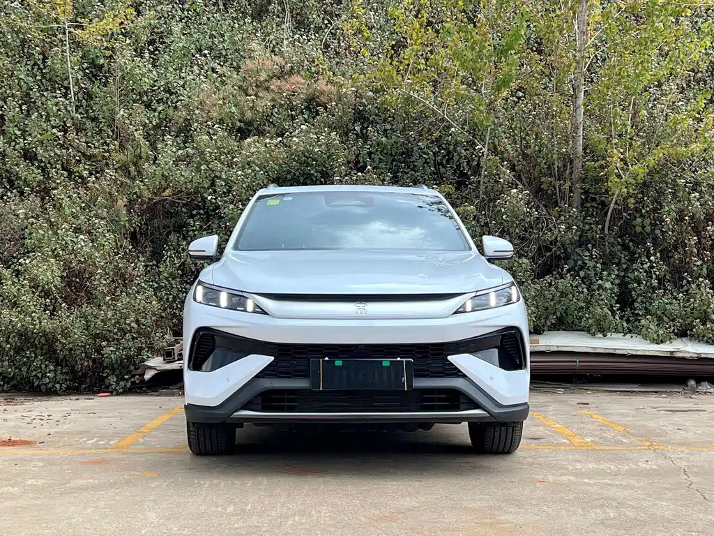 BYD SONGJIANG NEW ENERGY