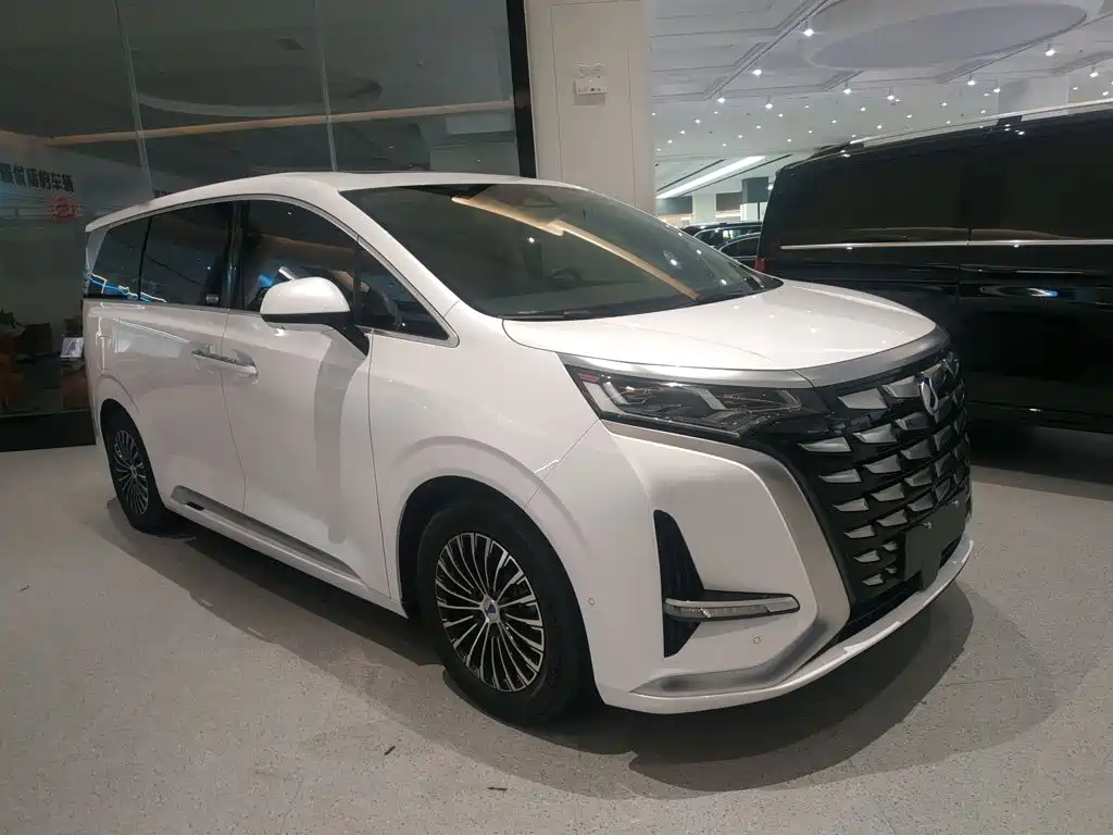 Denza Denza D9 — миниатюра 4
