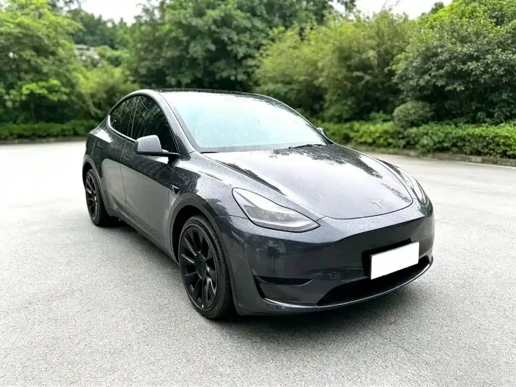 Tesla Model Y — миниатюра 3