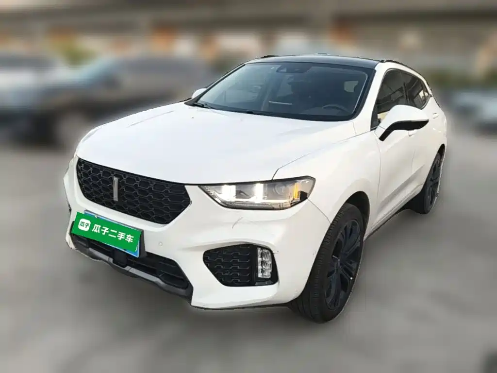Wey Wey VV5