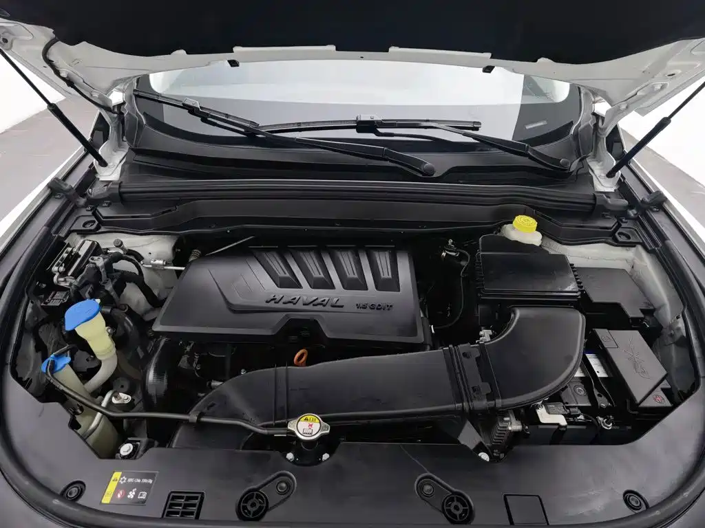 Haval H4 — миниатюра 6