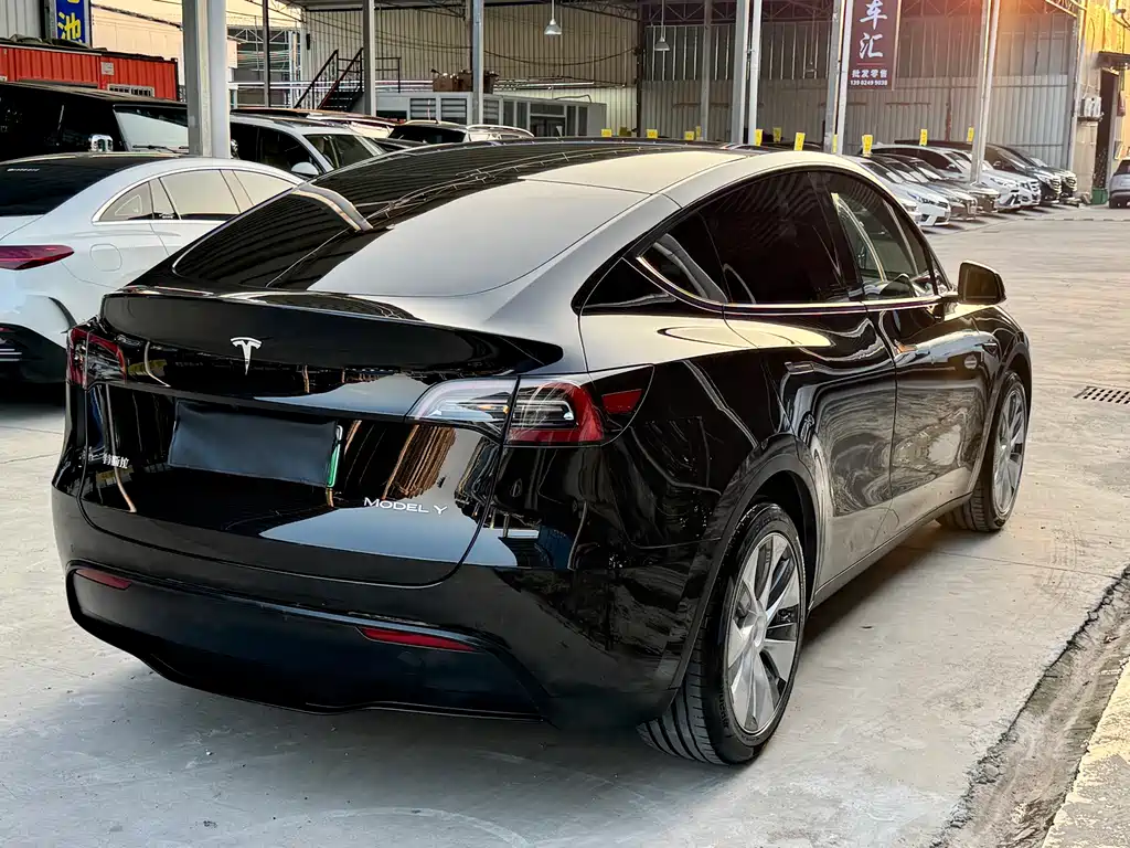 Tesla Model Y — миниатюра 6