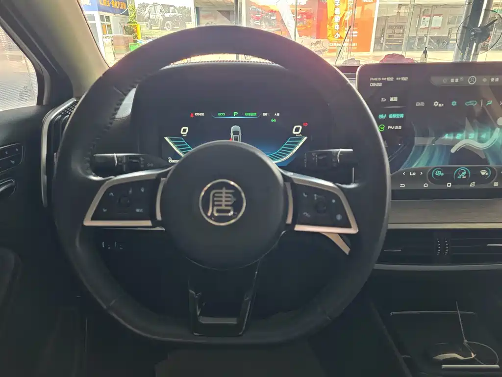 BYD Tang New Energy — миниатюра 11