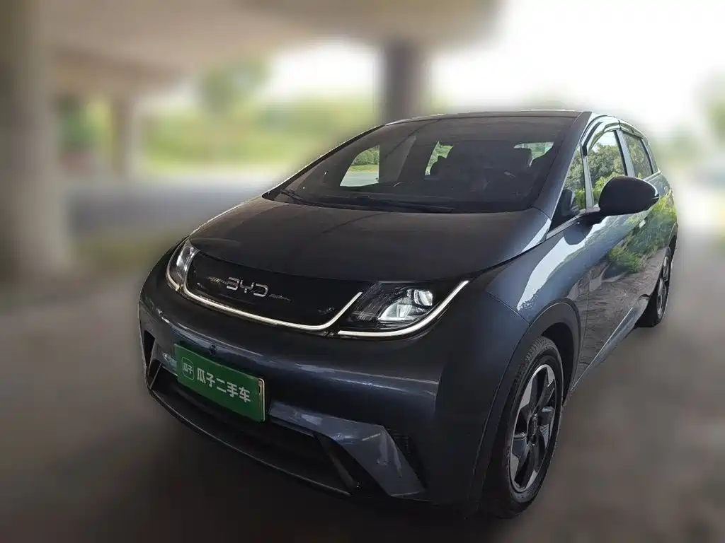 BYD Dolphin