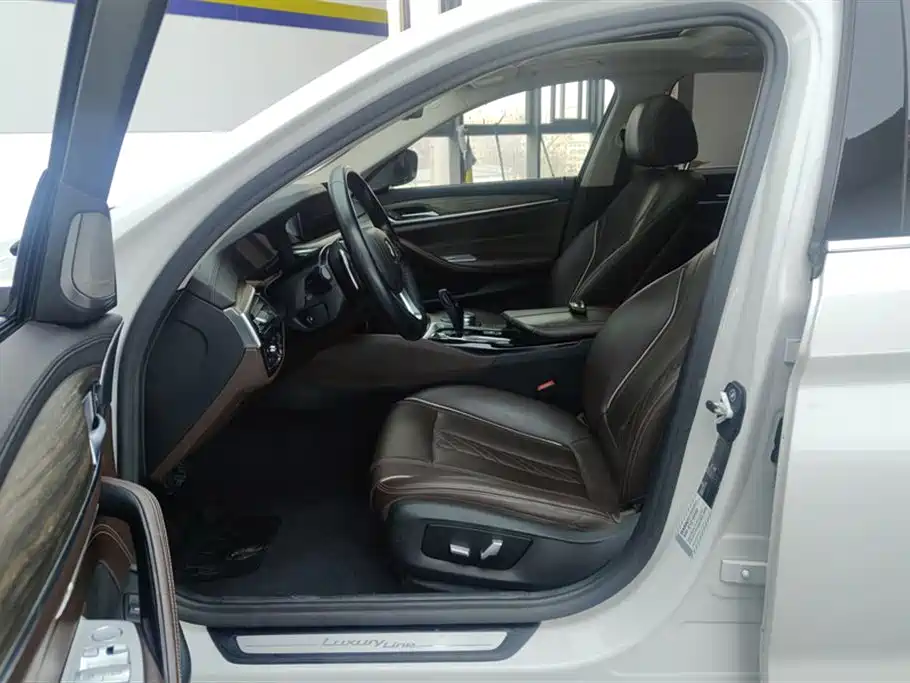 BMW 5 Series 5 2019 530Li Lead Luxury