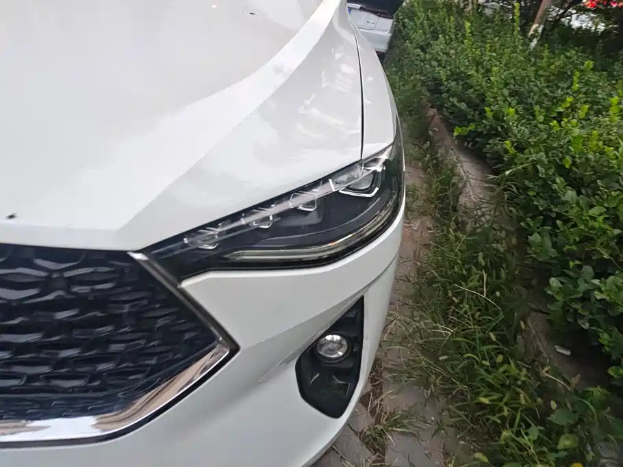 Haval F7x — миниатюра 5