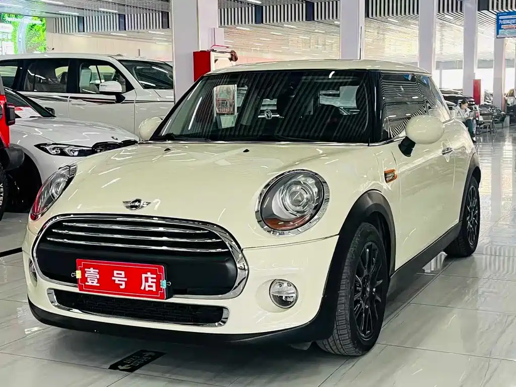 Mini Mini 2017