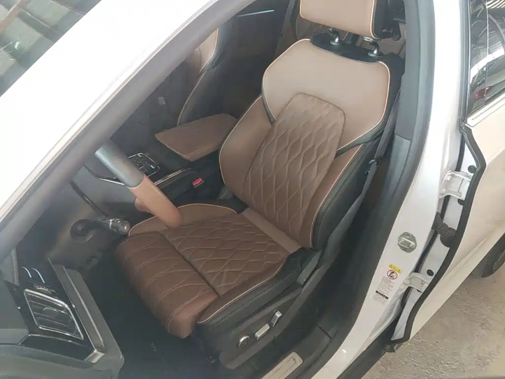 BYD Tang New Energy — миниатюра 15