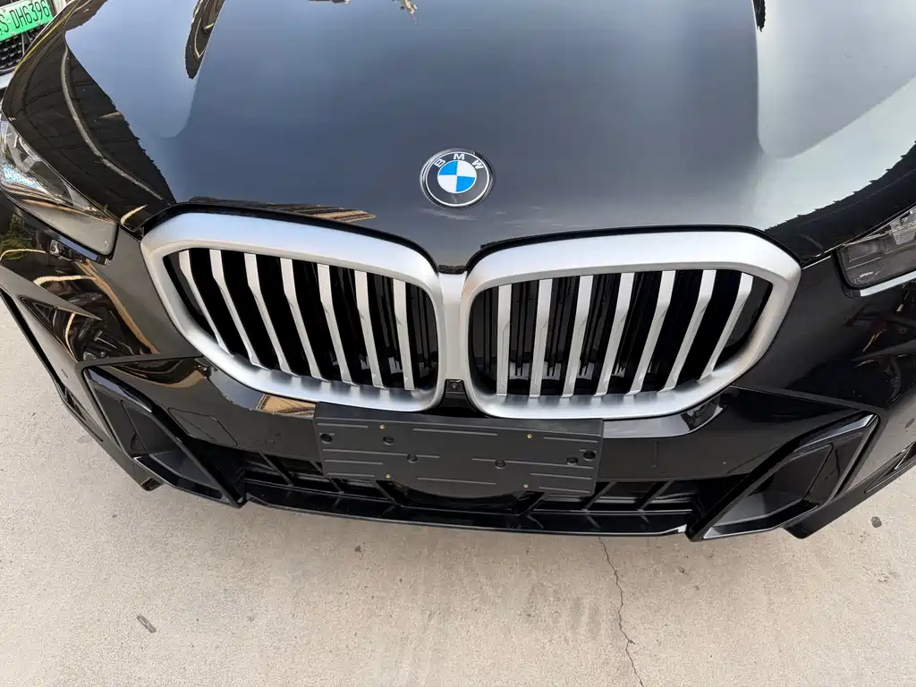BMW X5 — миниатюра 15