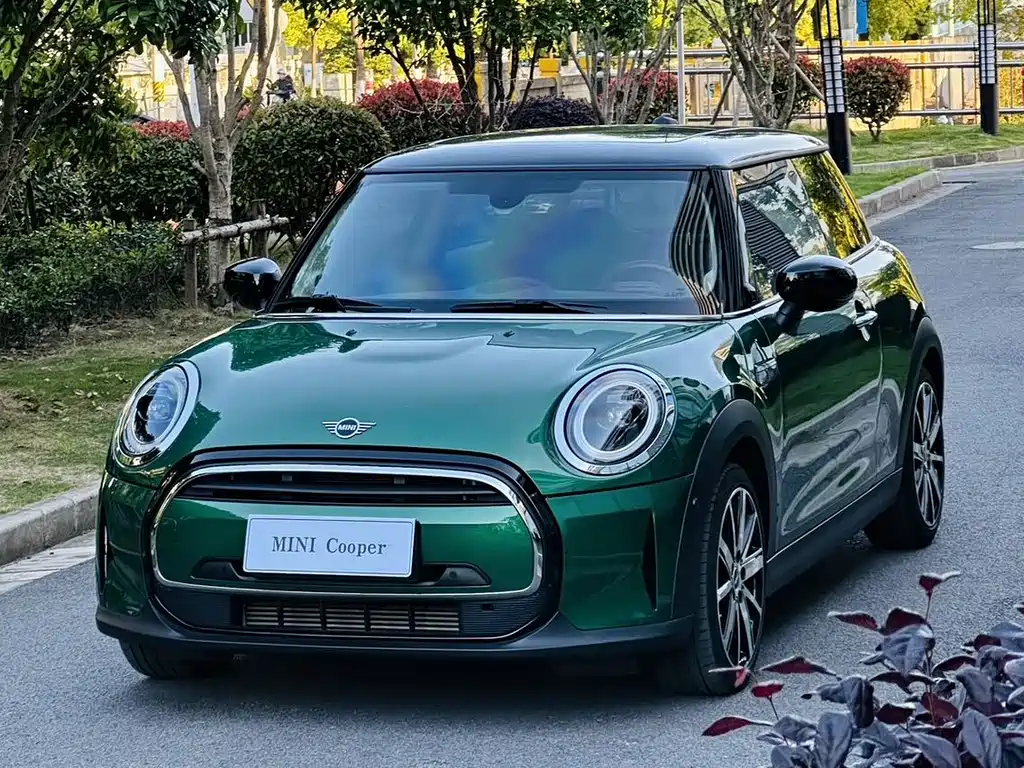Mini Mini 2023