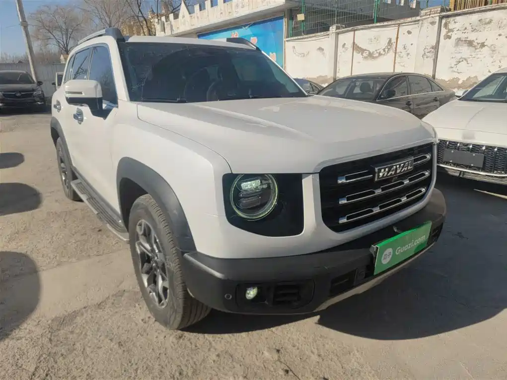 HAVAL BIG DOG