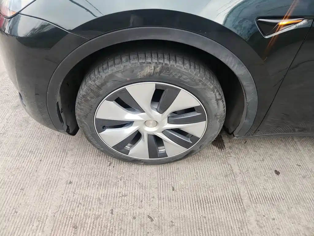Tesla Model Y — миниатюра 25