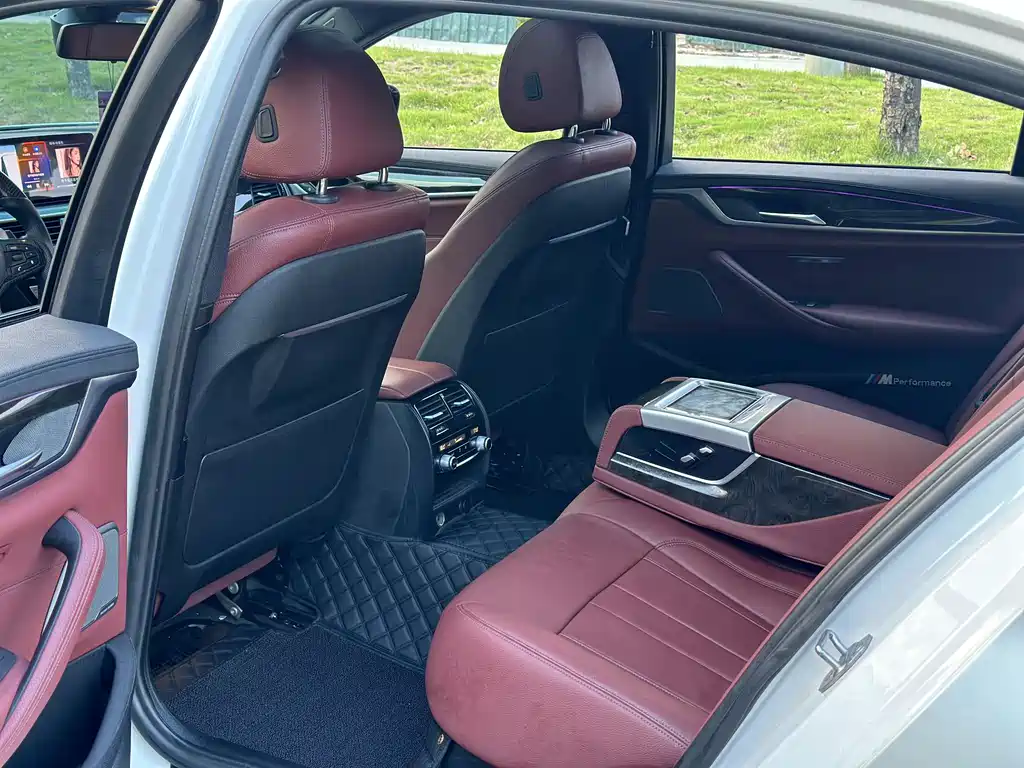 BMW 5 Series 5 2019 530Li Premium M Sport