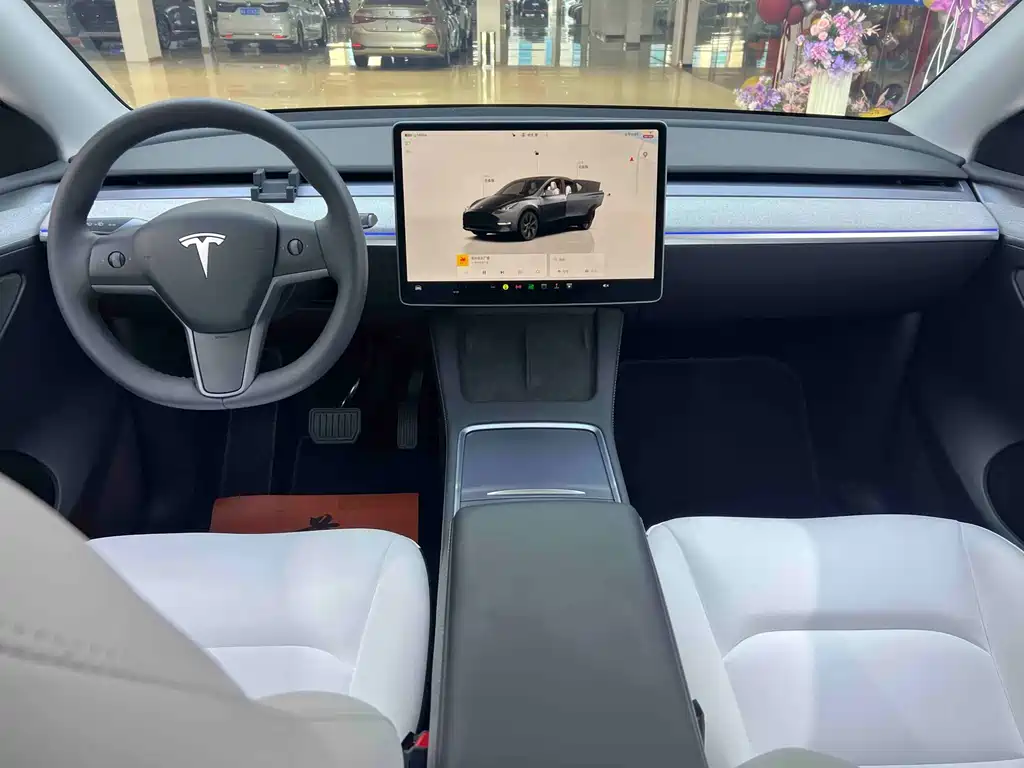 TESLA MODEL Y