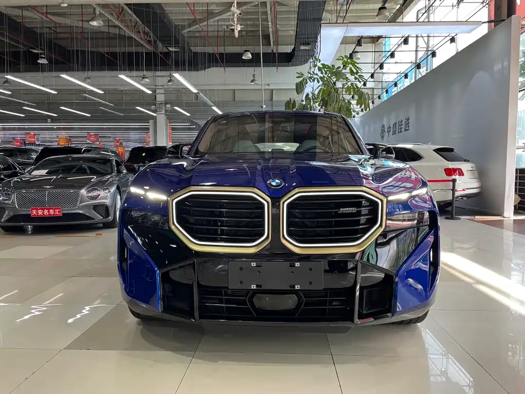 BMW  XM