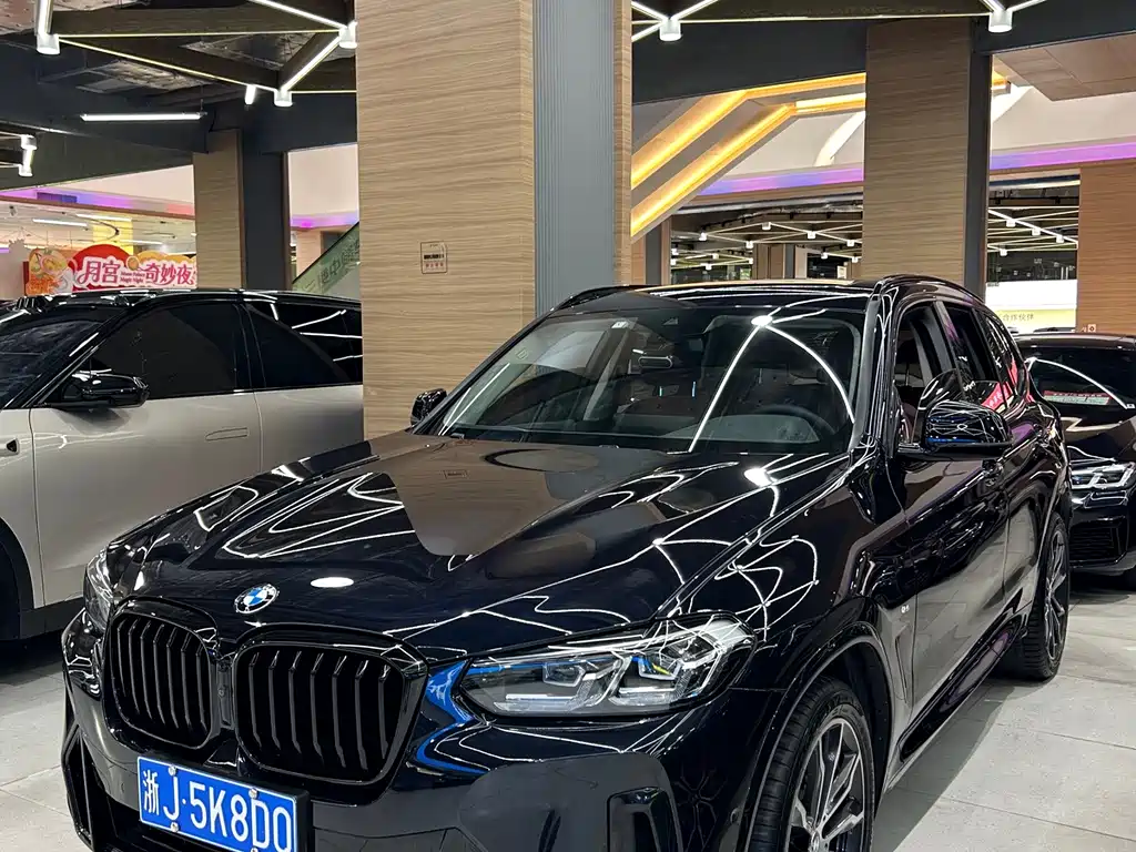 BMW X3 — миниатюра 2