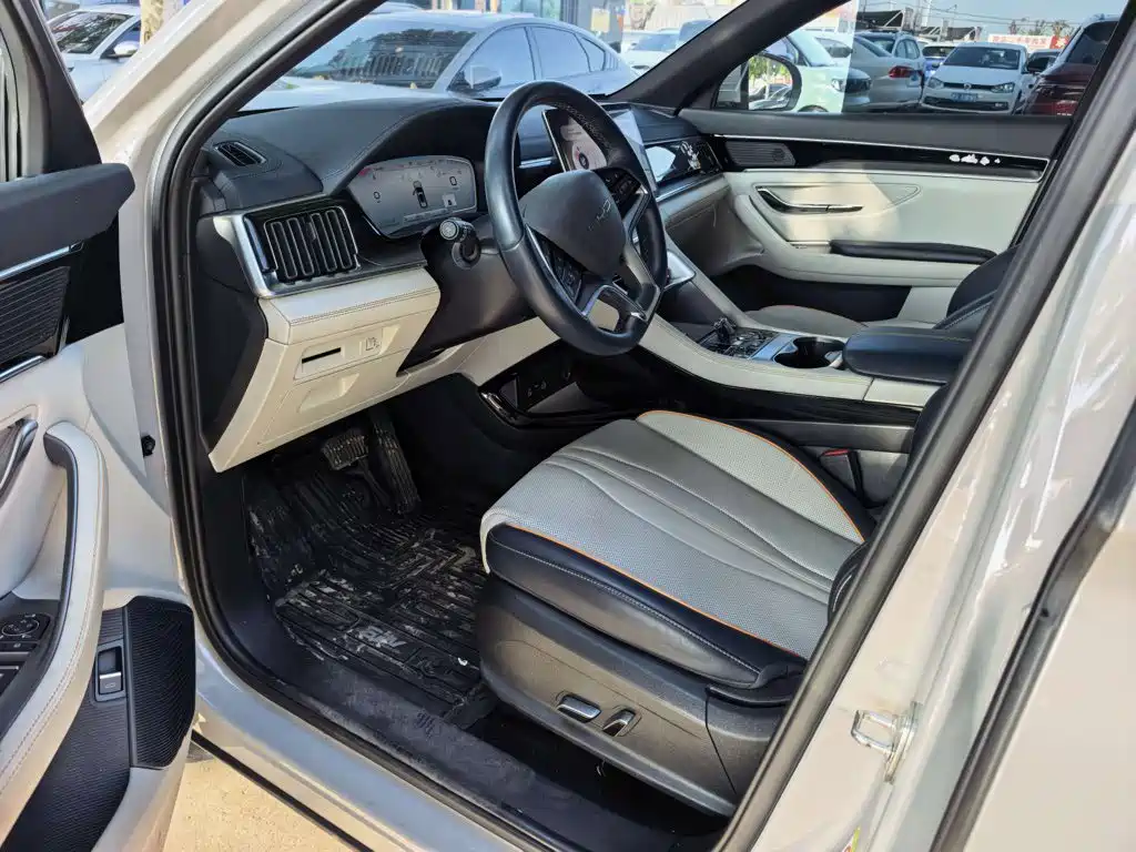 BYD PLUS New Energy — миниатюра 12