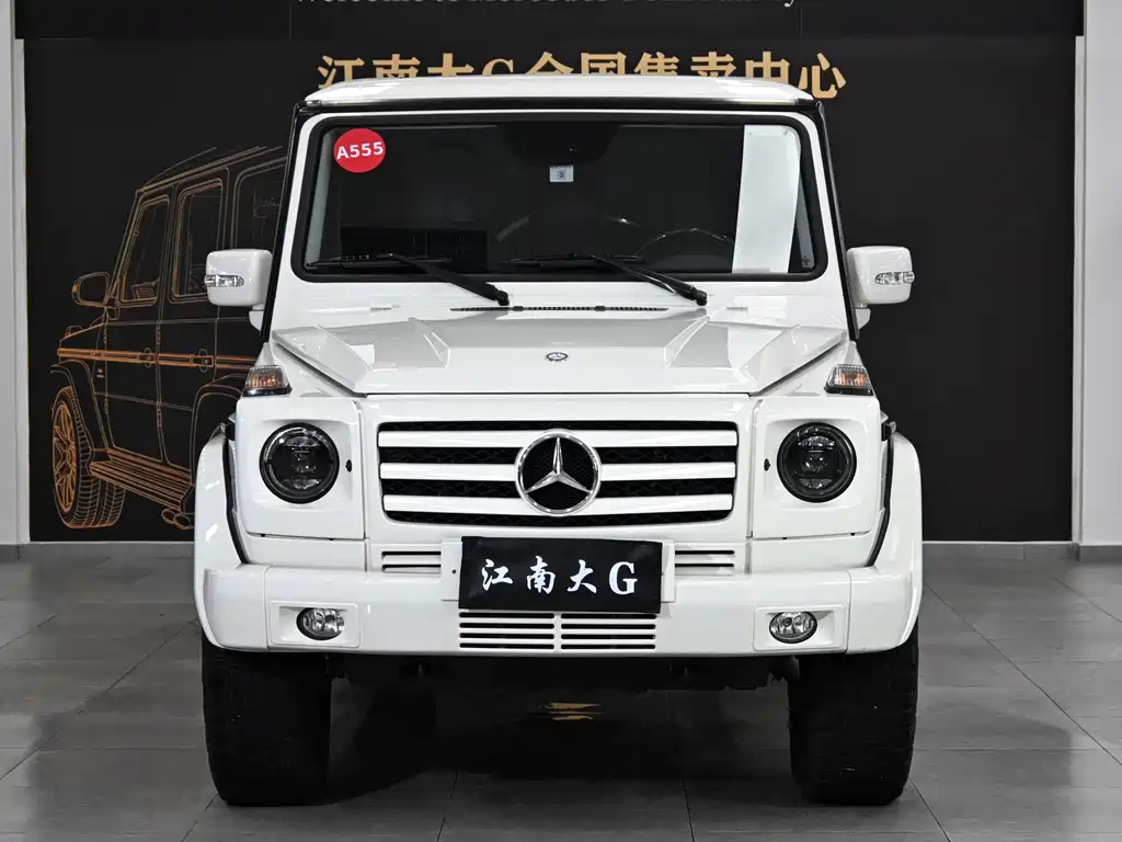 Mercedes-Benz G-Class G 2010 G 500