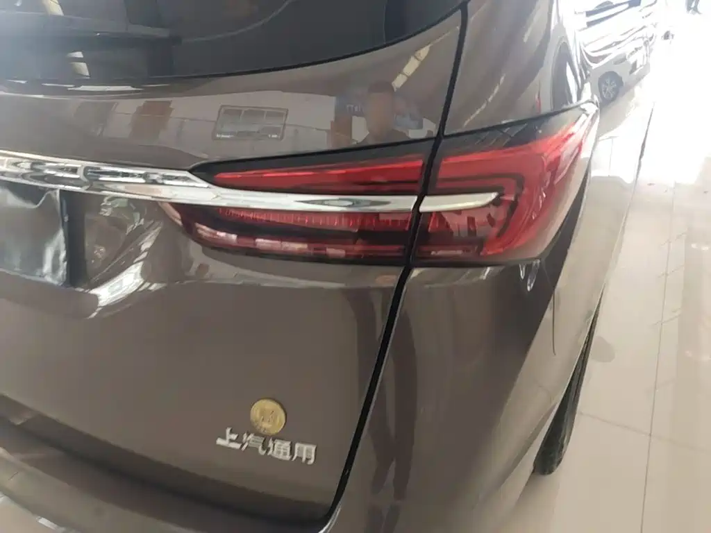 Buick GL8 — миниатюра 8