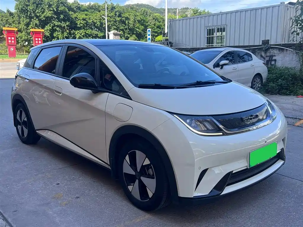 BYD Dolphin 2023 420km Fashion