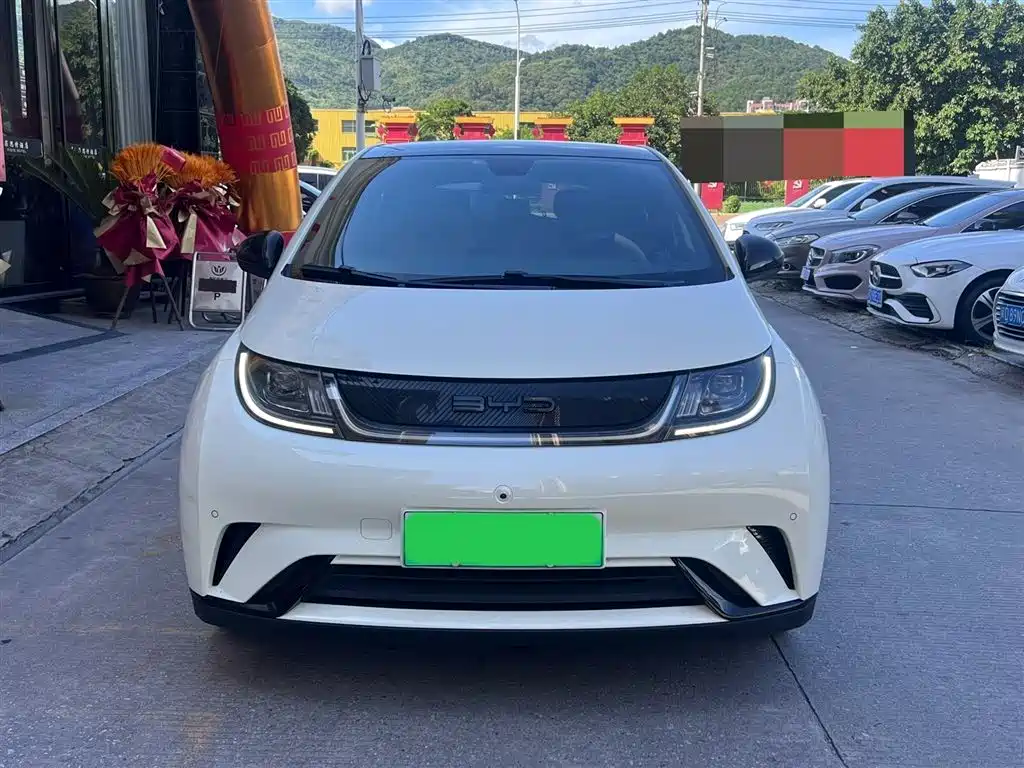 BYD Dolphin 2023 420km Fashion