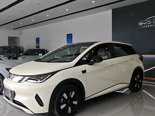 BYD DOLPHIN 2025