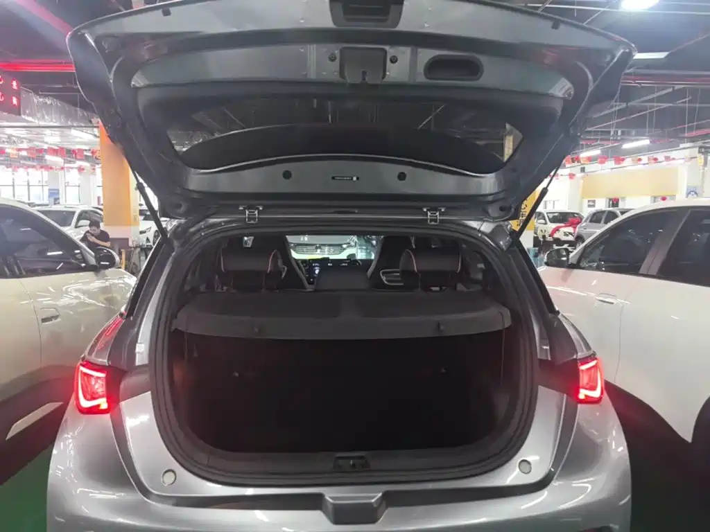 BYD Dolphin — миниатюра 19