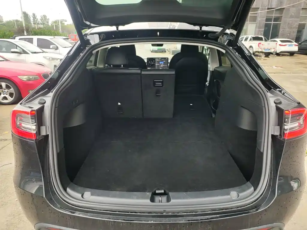 Tesla Model Y — миниатюра 19
