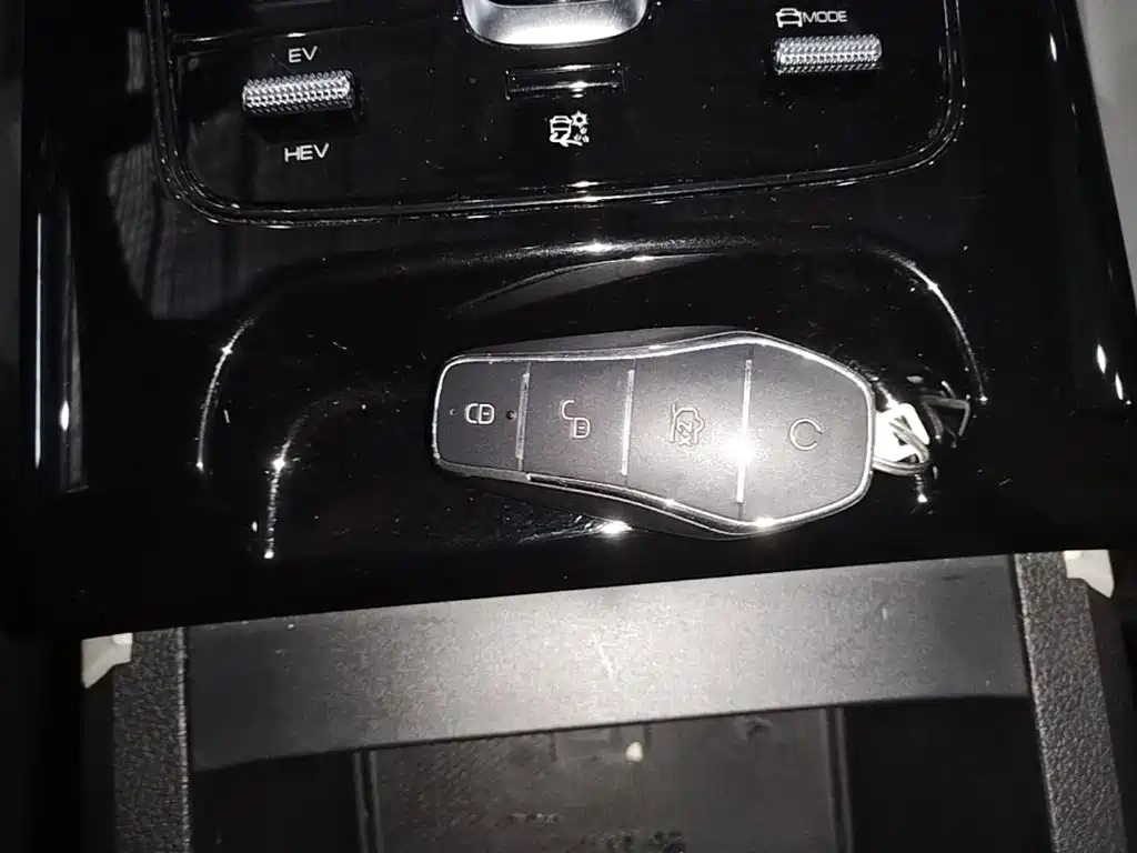 BYD Qin Plus PLUS 2024 DM-i 55KM Lead