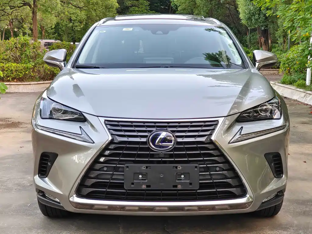LEXUS  NX