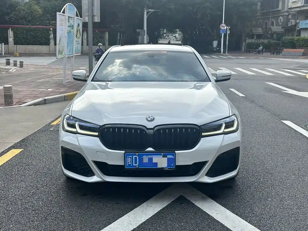BMW 5 Series (Import) — миниатюра 2
