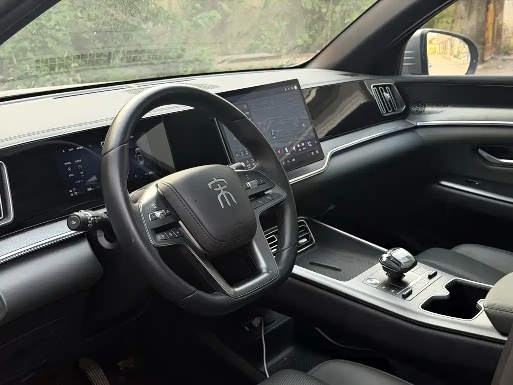 BYD Pro New Energy — миниатюра 2