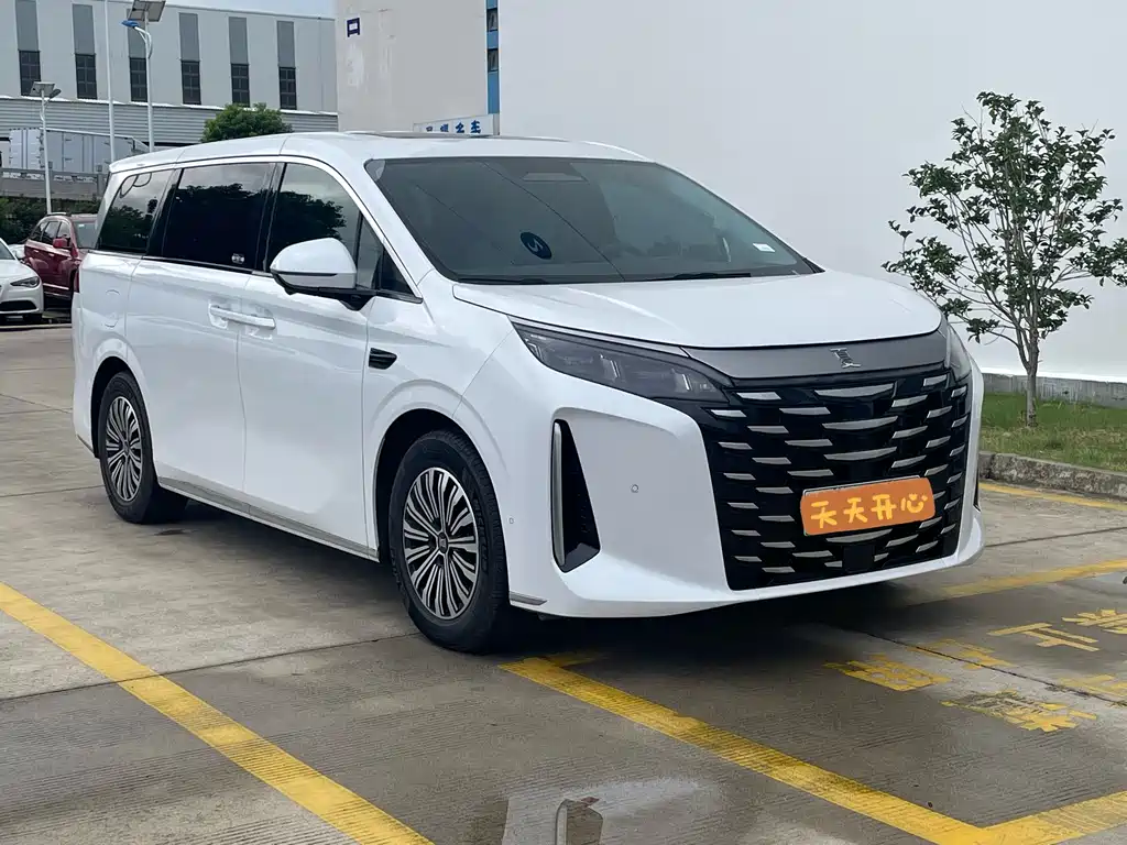BYD SUMMER