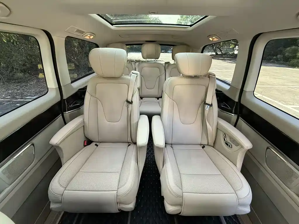 Mercedes-Benz V-Class V 260 Premium Edition China VI, фото 9