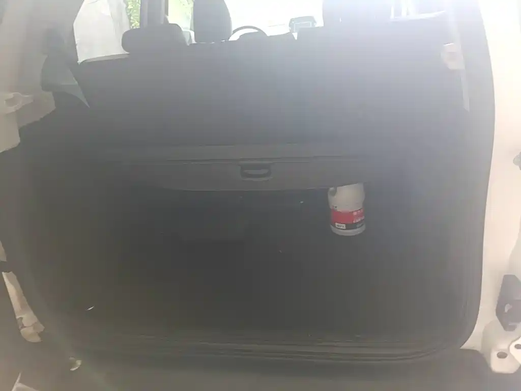 Ford Ecosport — миниатюра 19