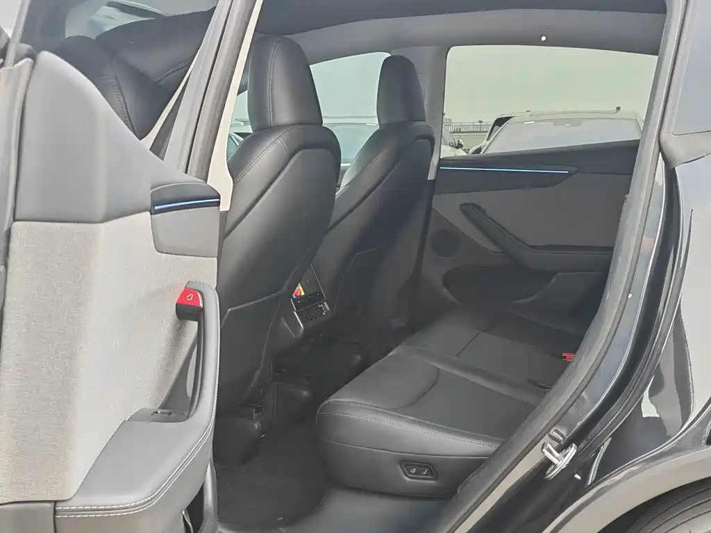 Tesla Model Y — миниатюра 11
