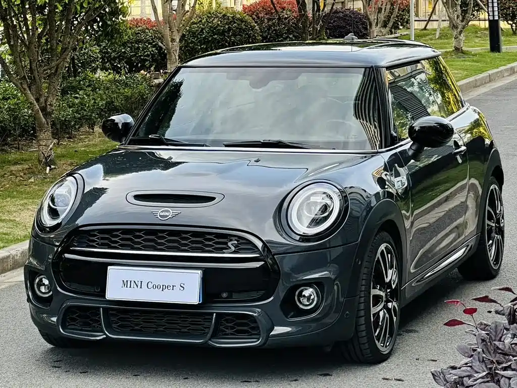 Mini Mini 2020