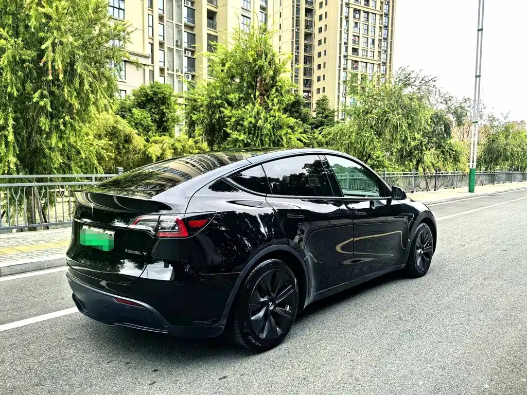 Tesla Model Y — миниатюра 6