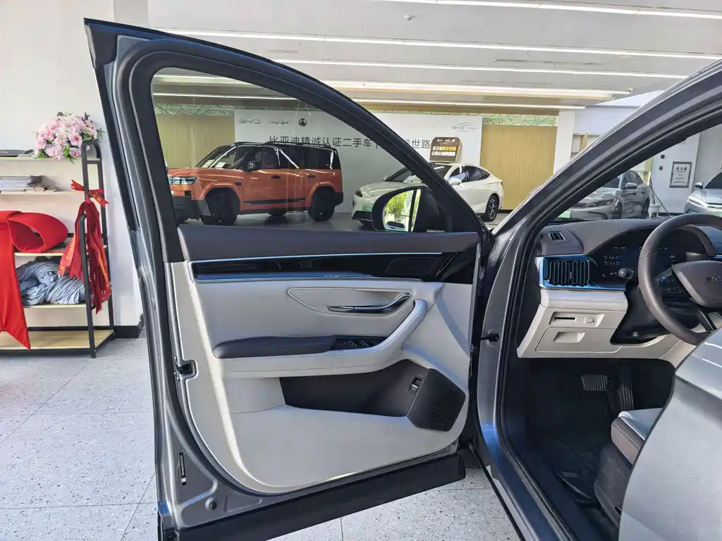 BYD PLUS New Energy — миниатюра 5