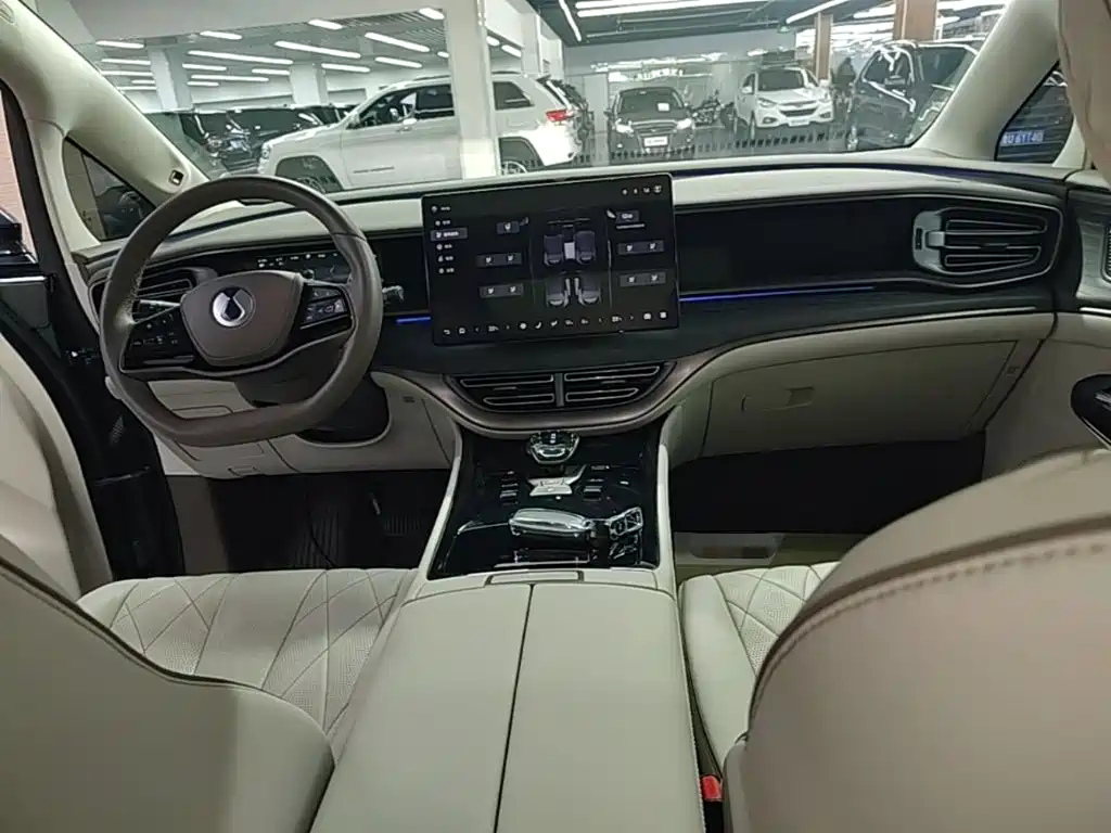 Denza Denza D9 — миниатюра 10