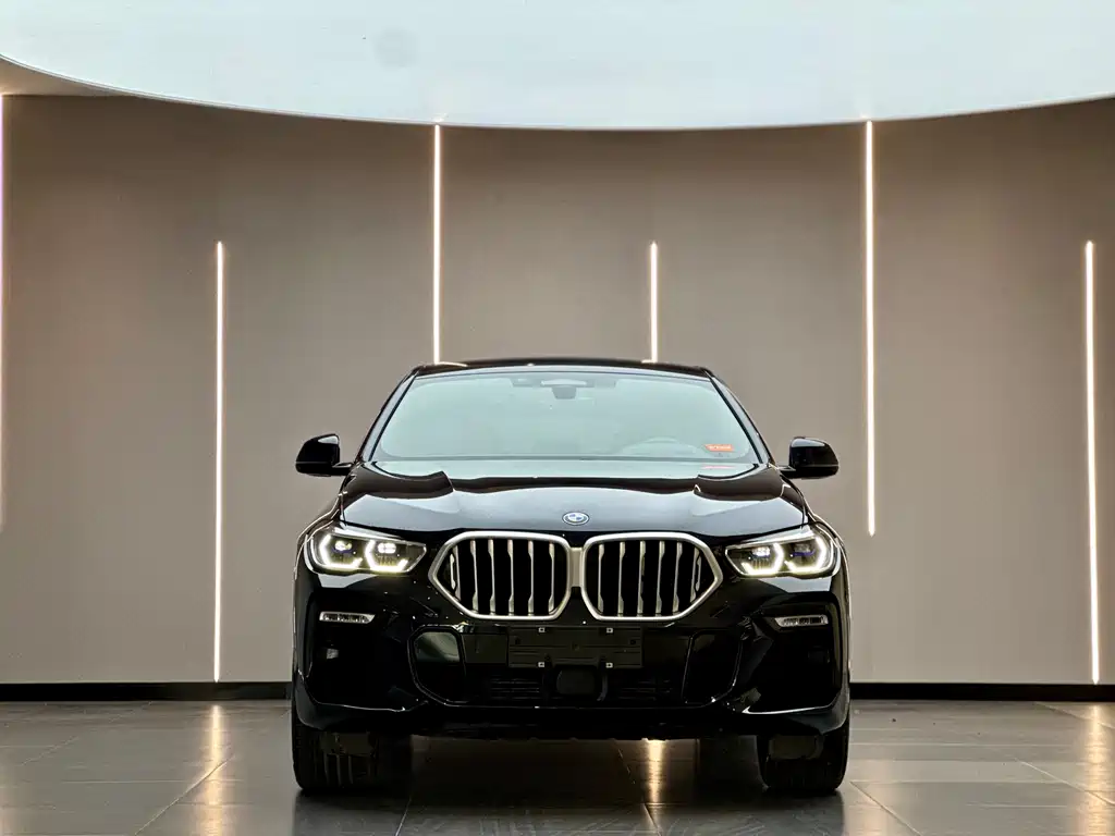 BMW X6 2021 xDrive40i Premium M Sport