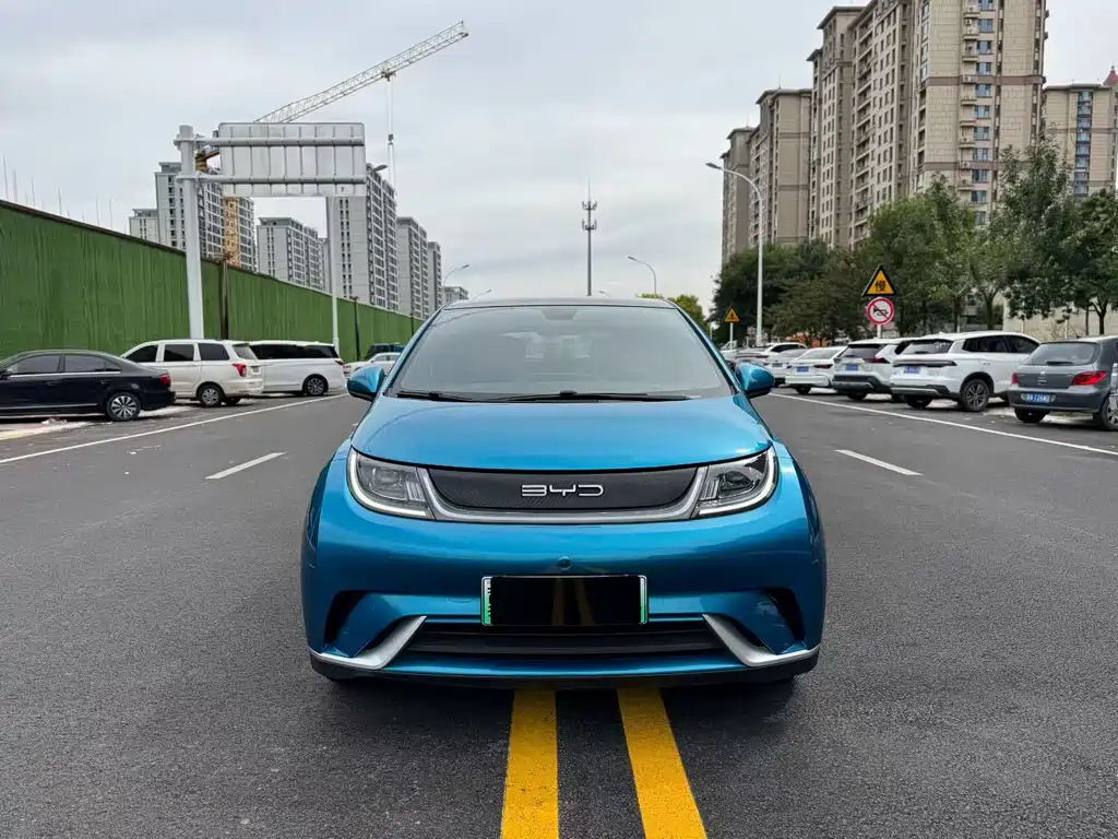 BYD Dolphin — миниатюра 2