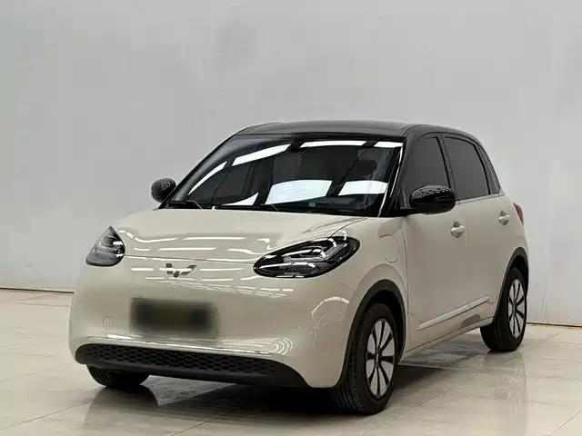 2025 Wuling Motors Binguo