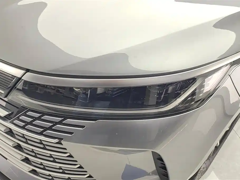 BYD Destroyer 05 2023 Champion DM-i 55KM Luxury