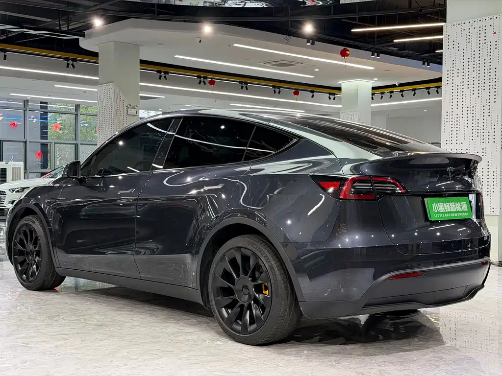 Tesla Model Y — миниатюра 13