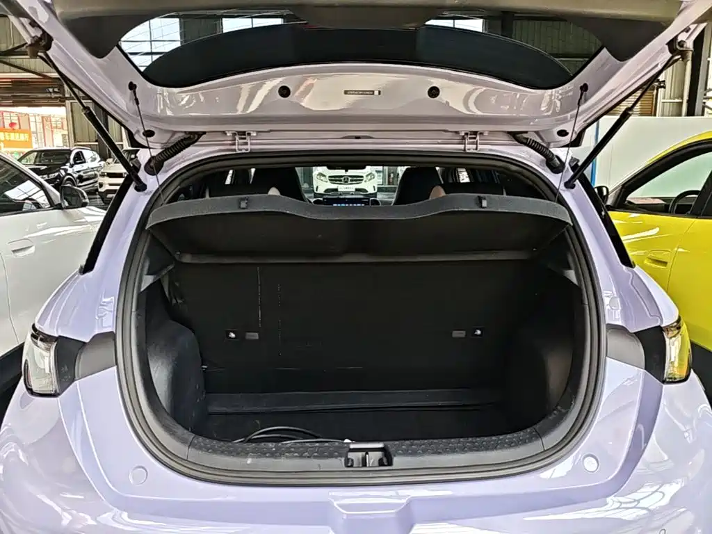 BYD Dolphin — миниатюра 19